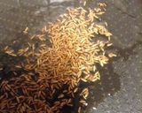 新じゃがと鶏むね肉のクミン炒め作り方3写真