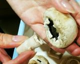 スペイン風♡マッシュルームのグリル焼き作り方1写真