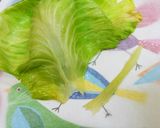 簡単巻くだけロールキャベツ作り方3写真
