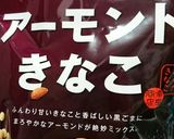 糖質オフ☆チョコナッツのカップケーキ作り方3写真