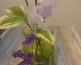 牛筋煮込み作り方1写真