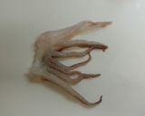 新芽わかめとイカのぬた作り方6写真