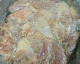 鶏肉の下味しっかり!ぷりっマヨっ炒め♪作り方2写真