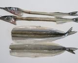 細魚（さより）の一夜干作り方2写真