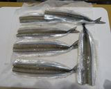 細魚（さより）の一夜干作り方4写真