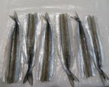 細魚（さより）の一夜干作り方5写真