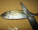 定番☆鯵フライ(魚の背開き)作り方1写真