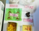 改訂版いれるだけ、しょうが湯カップケーキ作り方1写真
