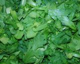 春菊大量消費＊春菊の塩炒めしらすのっけ作り方2写真