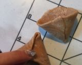 低糖質＆ヴィーガン♡全粒粉の焼きサモサ作り方10写真