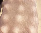 バターロール作り方4写真