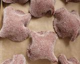 ショコラメロンパン(HB使用)作り方18写真