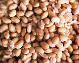 麹2倍の手作り信州味噌2017作り方1写真
