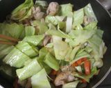 簡単キャベツたっぷり鶏もも肉のカレー煮！作り方4写真