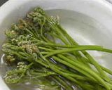 本格!ワラビの煮しめ作り方7写真