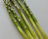 材料二つ！北海道ご当地☆アスパラマリネ作り方1写真