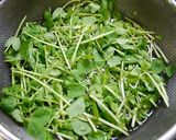 レンジで1分！豆苗のナムル作り方1写真