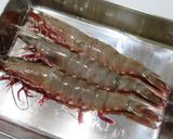 海老と烏賊の一口鮨作り方1写真