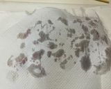 ローゼルの塩漬け作り方6写真