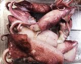 ウドと小ヤリイカの甘辛煮♪作り方1写真