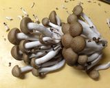 「栄養完結!」のために具は冷凍保存♡作り方7写真