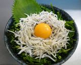 薬味たっぷり！ごまの風味香る簡単しらす丼作り方14写真