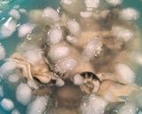 牡蠣のイタリアンソース添え作り方3写真