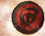 たけのこ酢豚作り方6写真