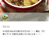 ピーマンPIZZA作り方8写真