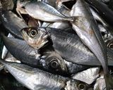 あじ南蛮漬け作り方1写真