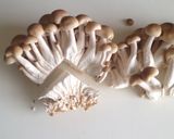 スナップエンドウ豚バラぶなしめじ味噌炒め作り方1写真