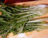 水菜だけ！シャキシャキ胡麻和え作り方1写真