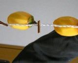 干し柿480個♪作り方5写真