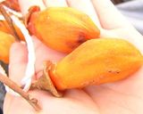 干し柿480個♪作り方6写真