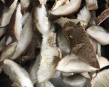 生しいたけを焼くだけ作り方1写真