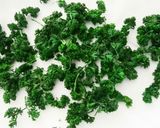 保存ＯＫ！レンジでドライパセリ作り方3写真