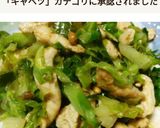 春キャベツと鶏胸肉の千切り炒め作り方4写真