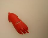 やりたかった●イカウインナー●をオラ流に作り方5写真