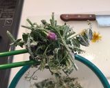 カラスノエンドウの絶品かき揚げ作り方5写真