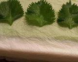 大葉の保存方法作り方3写真