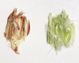 簡単おつまみ☆ナスの煮浸し薬味和え作り方2写真