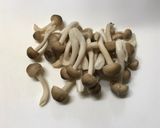 ひき肉とほうれん草のポパイオムレツ作り方1写真