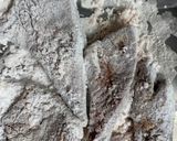 [再投稿]豚レバーのかりん揚げ作り方4写真