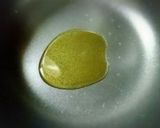 ゆのす（柚子酢）でさっぱりスペアリブ作り方4写真