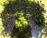 繊維いっぱい☆大麦とひじきの塩昆布あえ☆作り方1写真