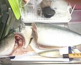 ヨネ家の春のワラサ祭り 三枚下ろし編作り方3写真