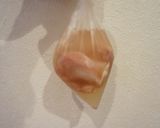 一人暮らしの鶏もも肉ホイル焼き作り方1写真