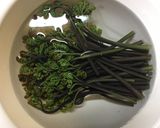 わらびのアク抜きから醤油漬け作り方1写真