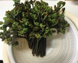 わらびのアク抜きから醤油漬け作り方2写真