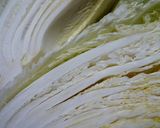白菜と赤カブのお漬物作り方1写真